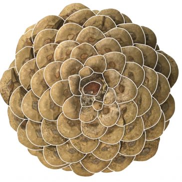 La suite de Fibonacci